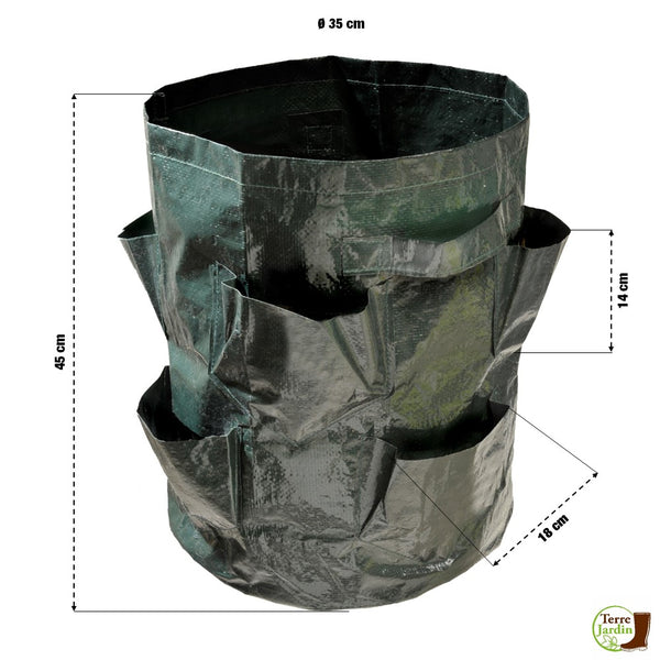 PLANTEUSES À FRAISES X2 (3)