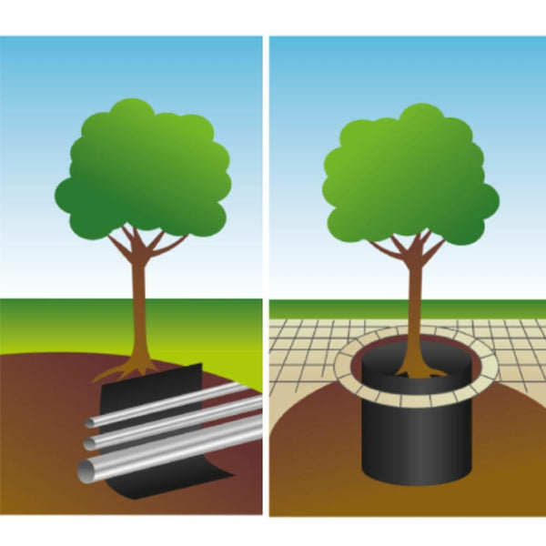 BARRIÈRE STOP RACINE (8)