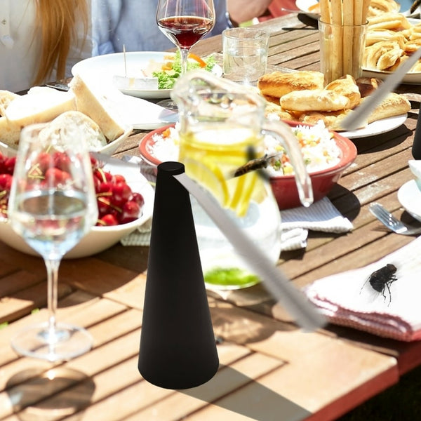 REPOUSSE INSECTES VOLANTS (4)