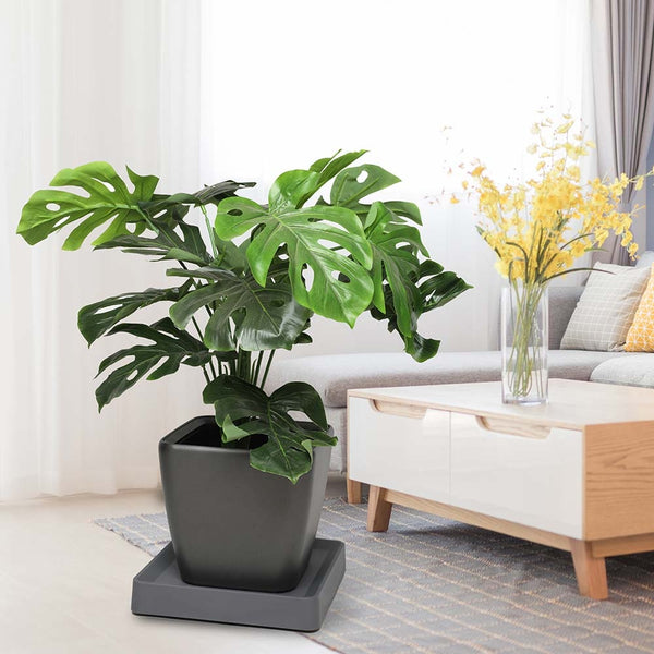 SUPPORT ROULANT POUR PLANTES CARRÉ (5)