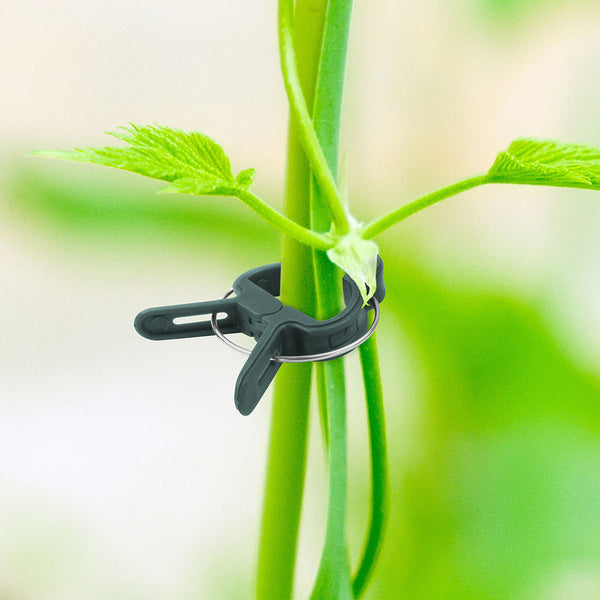 CLIPS ATTACHE-PLANTES 71 PIÈCES (4)