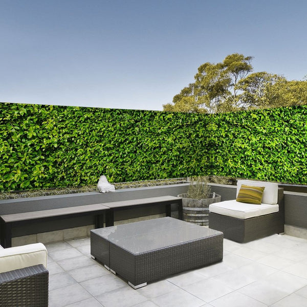 BRISE-VUE FEUILLAGE (2)