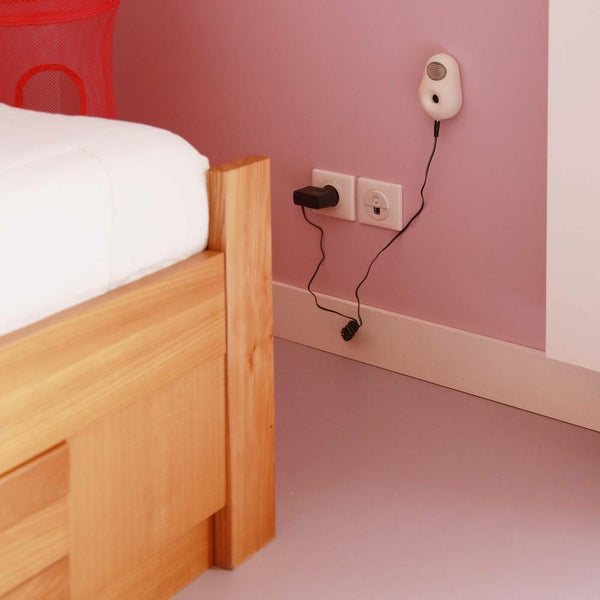 DESTRUCTEUR D'ACARIENS (4)