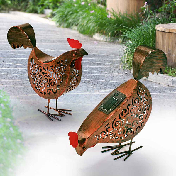POULES SOLAIRES X2 (3)