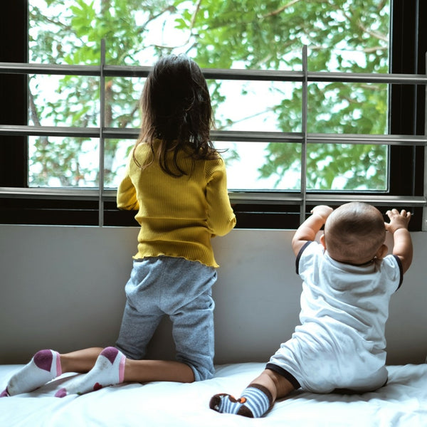 GRILLE DE PROTECTION FENÊTRE (2)