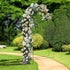 files/0047-Arche_florale_2022_web_v2.jpg