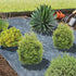 files/2500-bache_paillage_2020_web.jpg