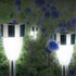 files/3693-lampe-solaire-tulipe-situation-2.jpg