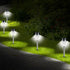 files/3693-tulipes_solaire_situation_web.jpg