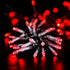 files/423550_GUIRLANDE-LED-ANIMEE-ROUGE-WEB_packshot.jpg