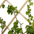 files/6204-treillis-bois-zoom-lierre.jpg