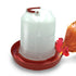 files/6638-abreuvoir_a_volaille_avec_poule_web2.jpg