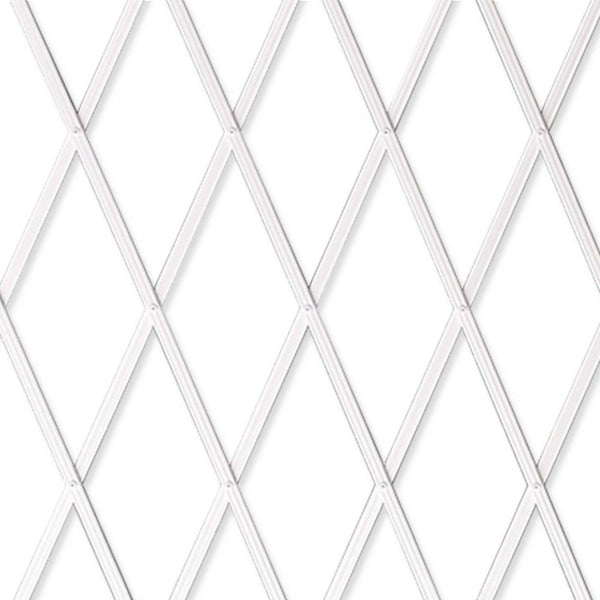 TREILLIS PLASTIQUE 1X2M (3)