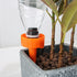 files/6670-cone-d-arrosage-situation-orange-web_13d69dce-9058-48a7-b4a8-b4cbb256b6c4.jpg