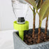 files/6670-cone-d-arrosage-situation-vert-web_87611277-4ba7-4b21-8075-82ce1a5326a5.jpg