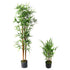 files/6760-bambous-artificiels-groupe-web.jpg