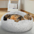 files/6768-coussin_chat_situation.jpg