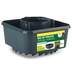 POT DE FORÇAGE AVEC TUTEURS (1)