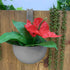 files/736920_jardiniere_situation_BD.jpg