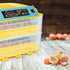 files/765930-couveuse-automatique-112oeufs-situation.jpg