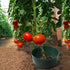 files/bordure-darrosage-lot-de-5-6206-web-5.jpg