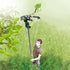 files/echenilloir-telescopique-a-cremaillere-6495-web-3.jpg