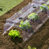 files/tunnel-de-forcage-rigide-transparent-3312-web-1.jpg