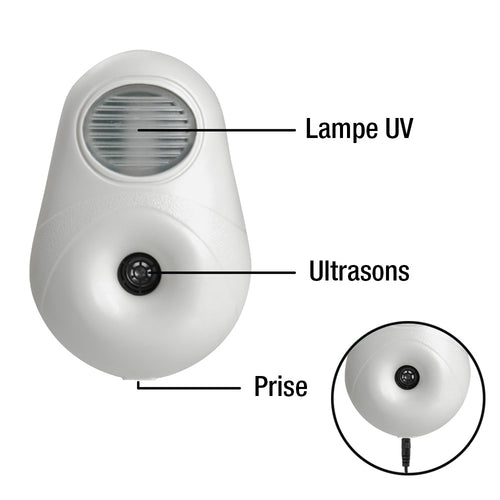 DESTRUCTEUR D'ACARIENS (1)