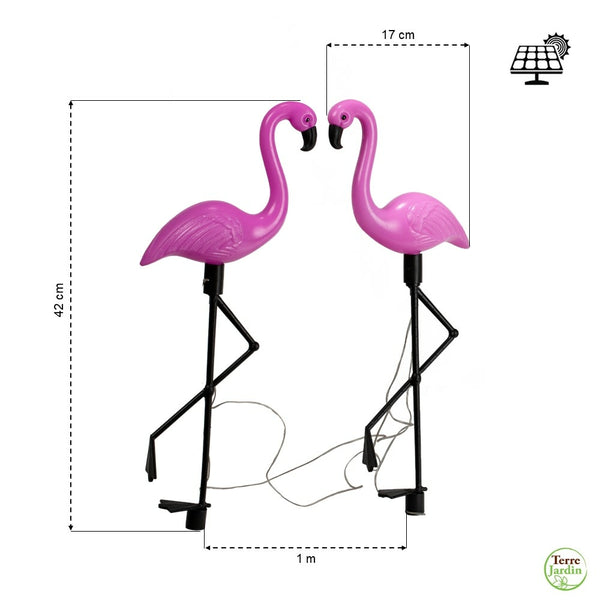 FLAMANTS ROSES SOLAIRES X3 (2)