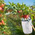 products/70214_CUEILLE_FRUIT_montage_situation_verger_pommier_WEB.jpg