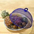 products/71583-cloche-anti-insectes-situation.jpg
