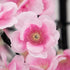 products/9491_fleur-cerisier-zoom-eteint-web.jpg
