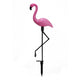 FLAMANTS ROSES SOLAIRES X3