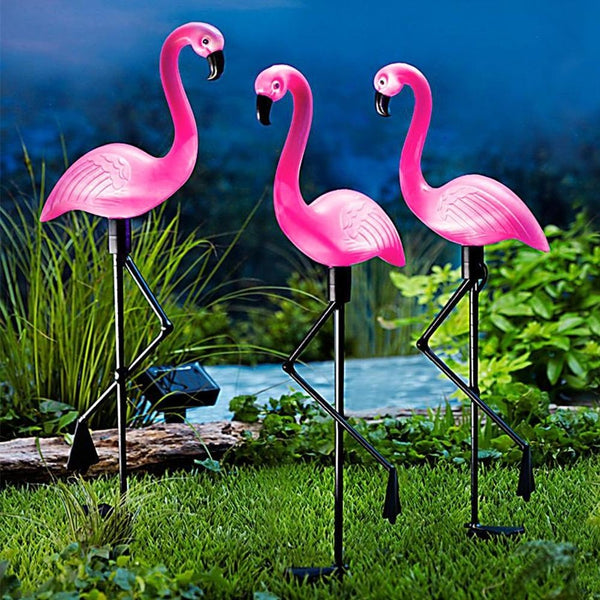 FLAMANTS ROSES SOLAIRES X3 (4)